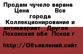 Продам чучело варана › Цена ­ 15 000 - Все города Коллекционирование и антиквариат » Другое   . Псковская обл.,Псков г.